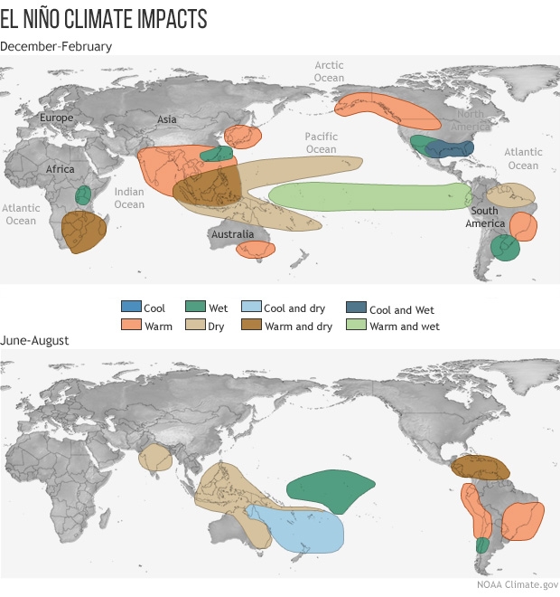 Typical global El Niño impacts for winter and summer
